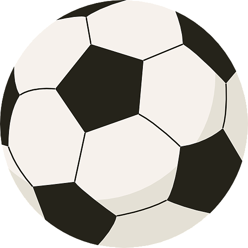 引无数球迷 引无数球迷